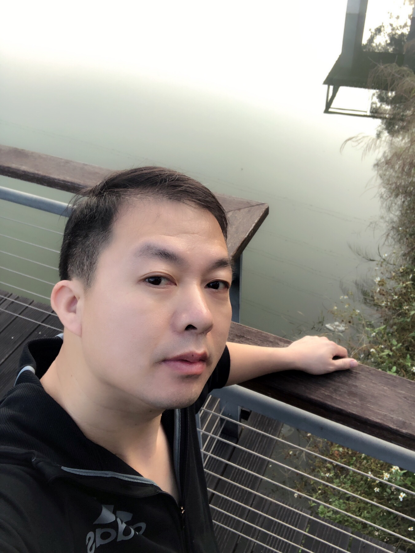 刘心