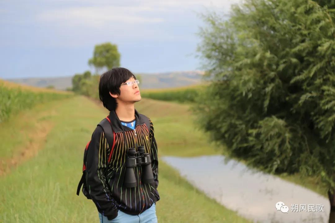 杨文杰书法
