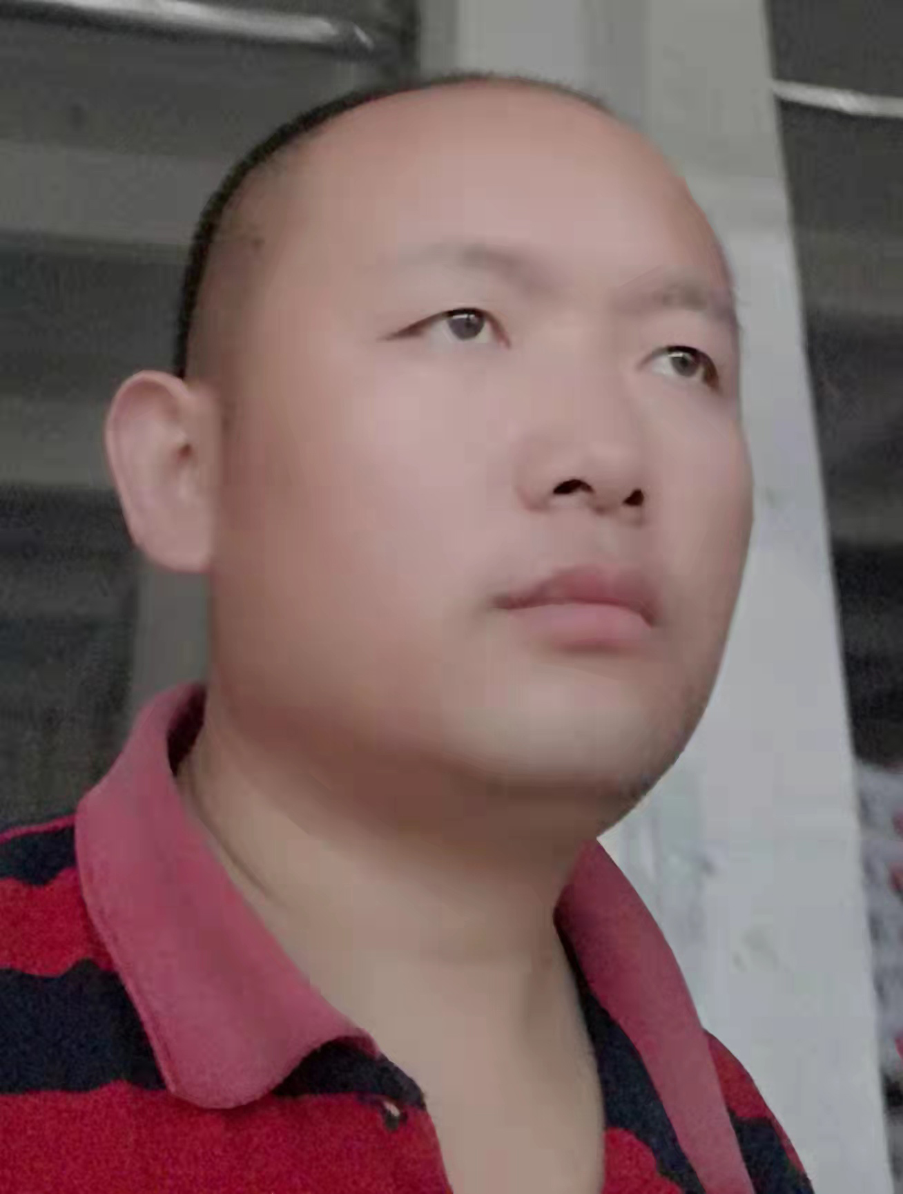 韩真